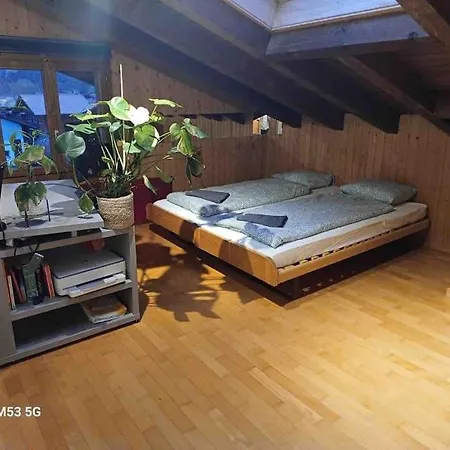 Spacious And 5 Bedroom - 1min To Train Station Wilderswil